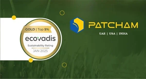 Patcham-Native-SponCon-9-25-25
